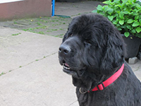 Carlos: Mein neues Leben in der Pflegefamilie