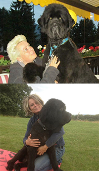 Neues von Angel und Duke