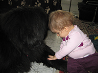 DIAGNOSEN – OPERATIONEN – THERAPIEN