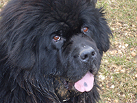 Vom Ruhestand in den Unruhestand