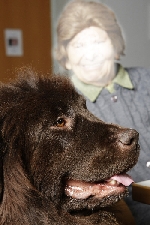 Fritz baut Brücken in die Welt der Demenz