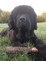 NEUES VON ANGEL – Die 3. Etappe war ein Wellengang