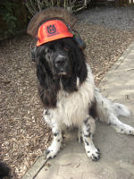 Pflegeplatz Geschichten!