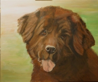 Ein Porträt von Ihrem eigenen Bären