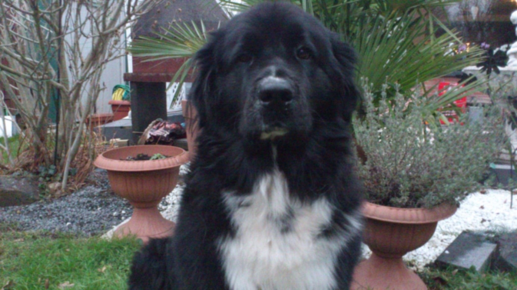 Von Berlin nach Kölle