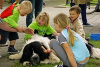 850 KILO ZÄRTLICHKEIT