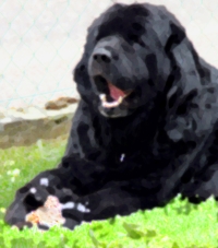 Ein herzliches DANKESCHÖN…