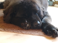 ONA, das Leben ist doch schön……