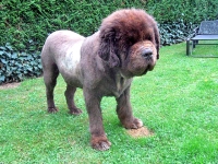 Ein herzliches Dankeschön