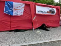 Rückblick Internationales Neufundländertreffen 2013 in der Schweiz