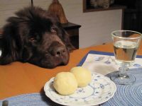 An meine Wegbereiter und zeitweisen Weggenossen