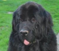 FILIA NOTFALL DES MONATS