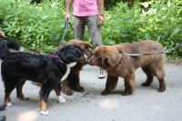 Ein herzliches Dankeschön