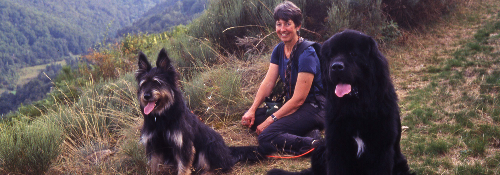 Zeppelin und Düsenjäger Teil 1