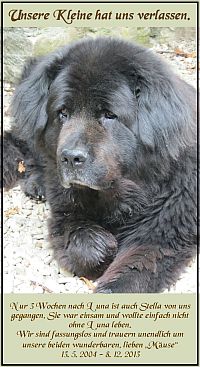 Das Glück hat gerade mal 3 1/2 Jahre gehalten