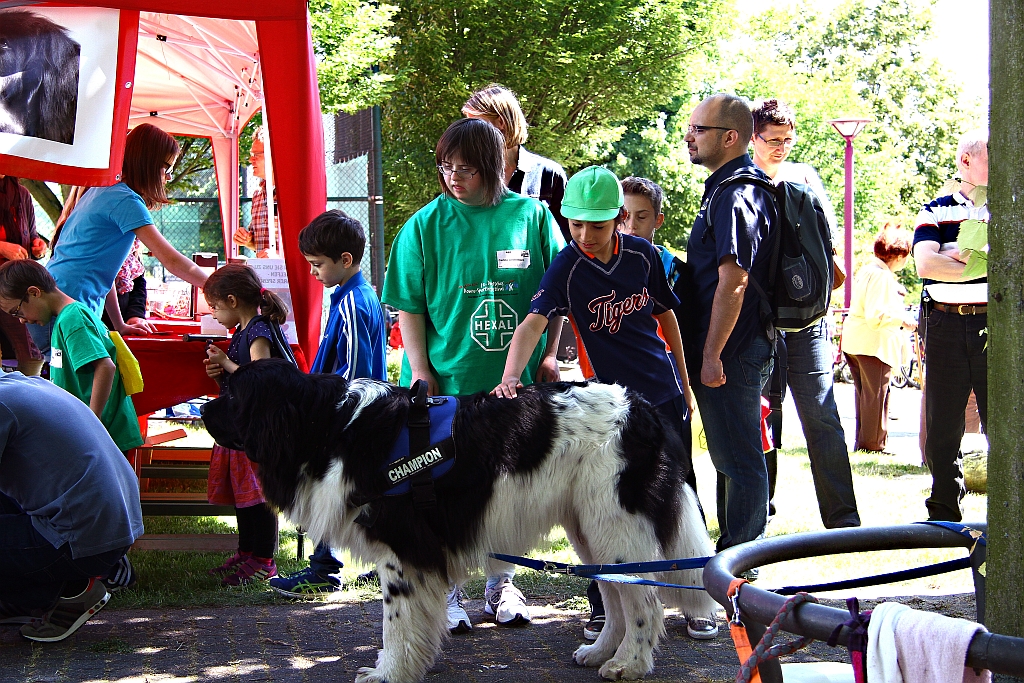 Down Sportfest in Frankfurt