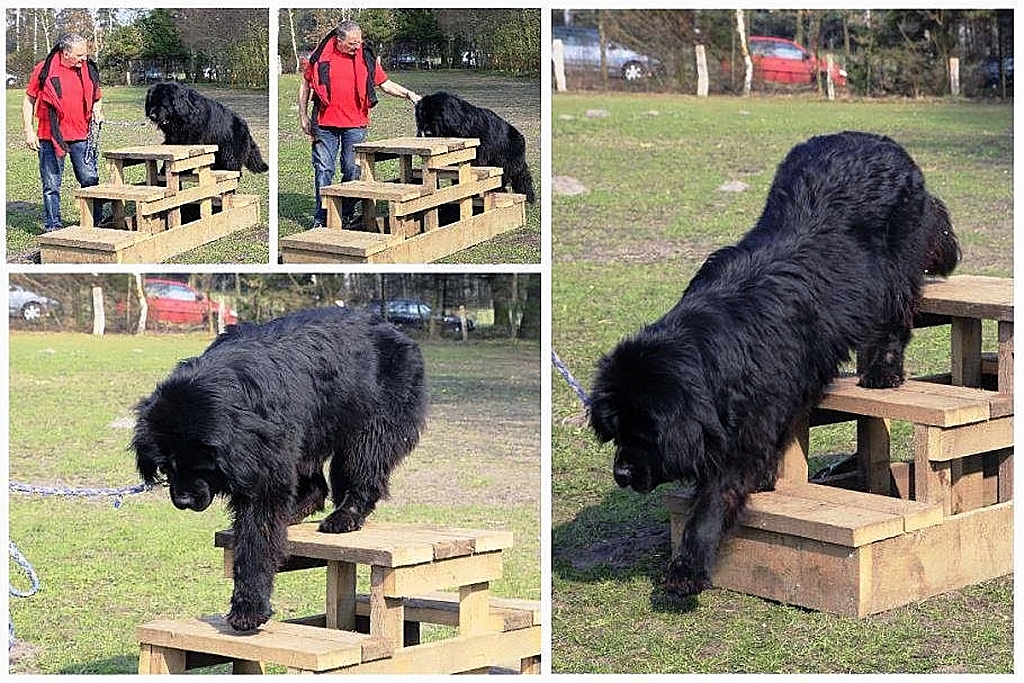 Nordheider Bären-Rallye