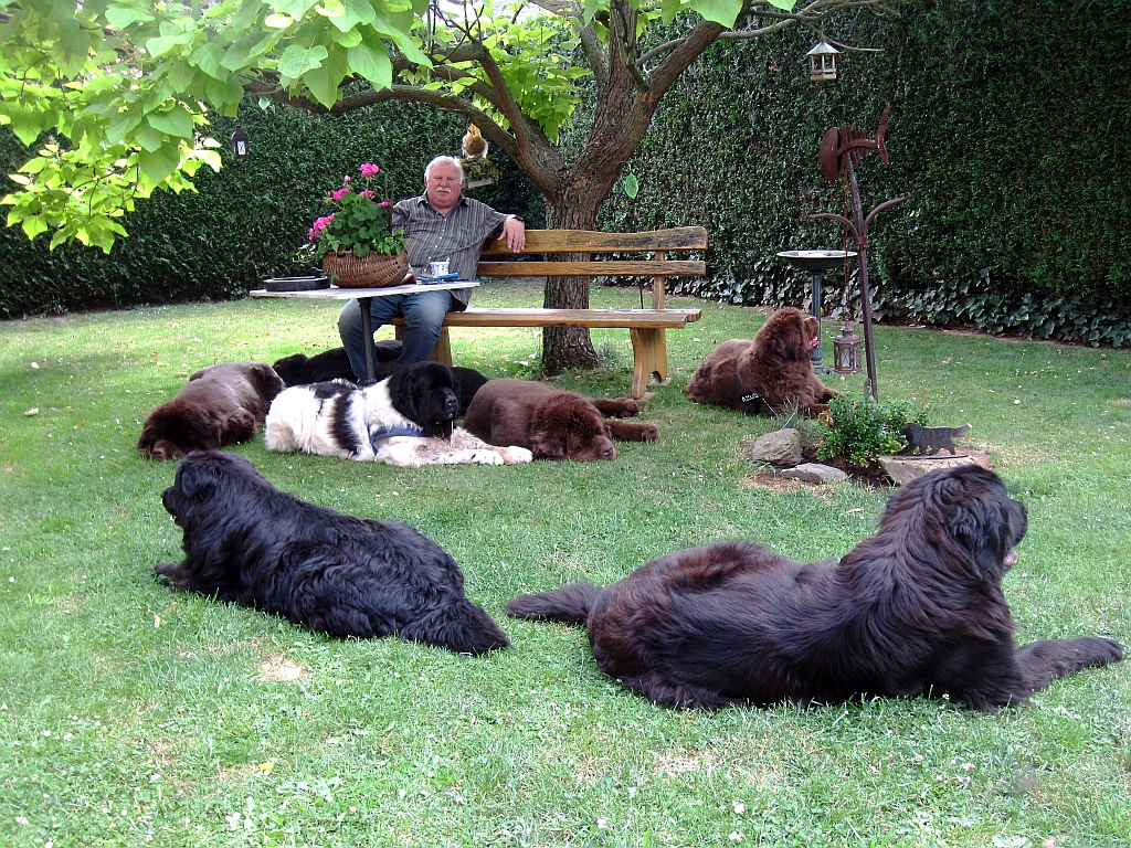 Pflegestelle Bärengarten