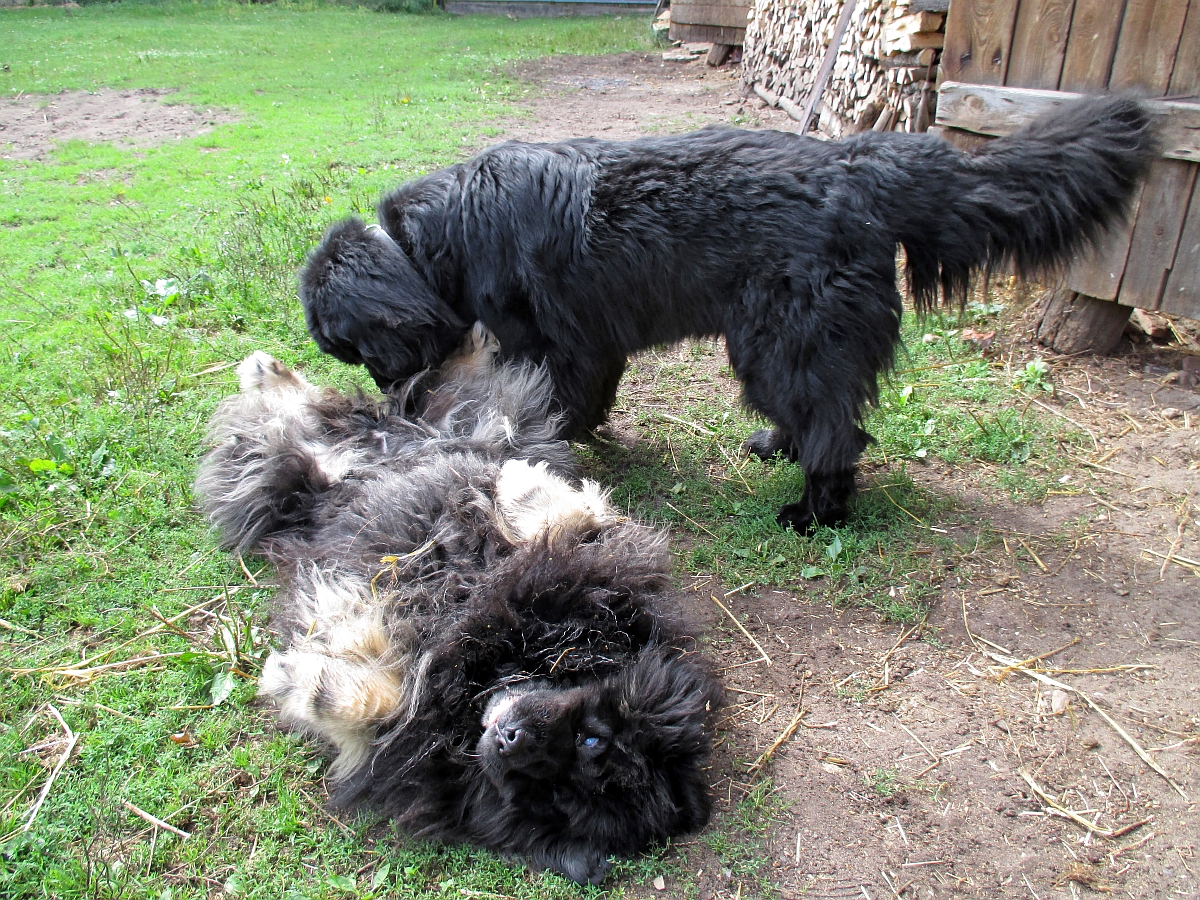 BILDIMPRESSIONEN EINER PFLEGESTELLE