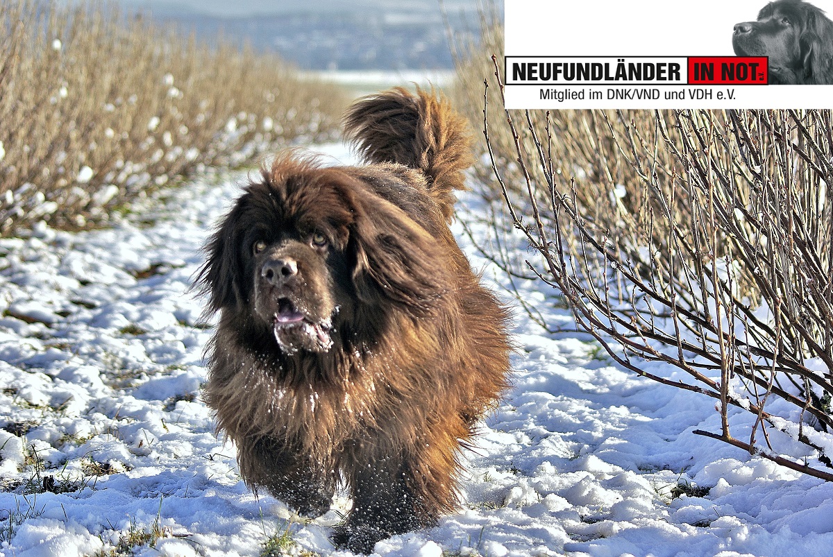 WIR WÜNSCHEN EINEN GUTEN START INS NEUE JAHR