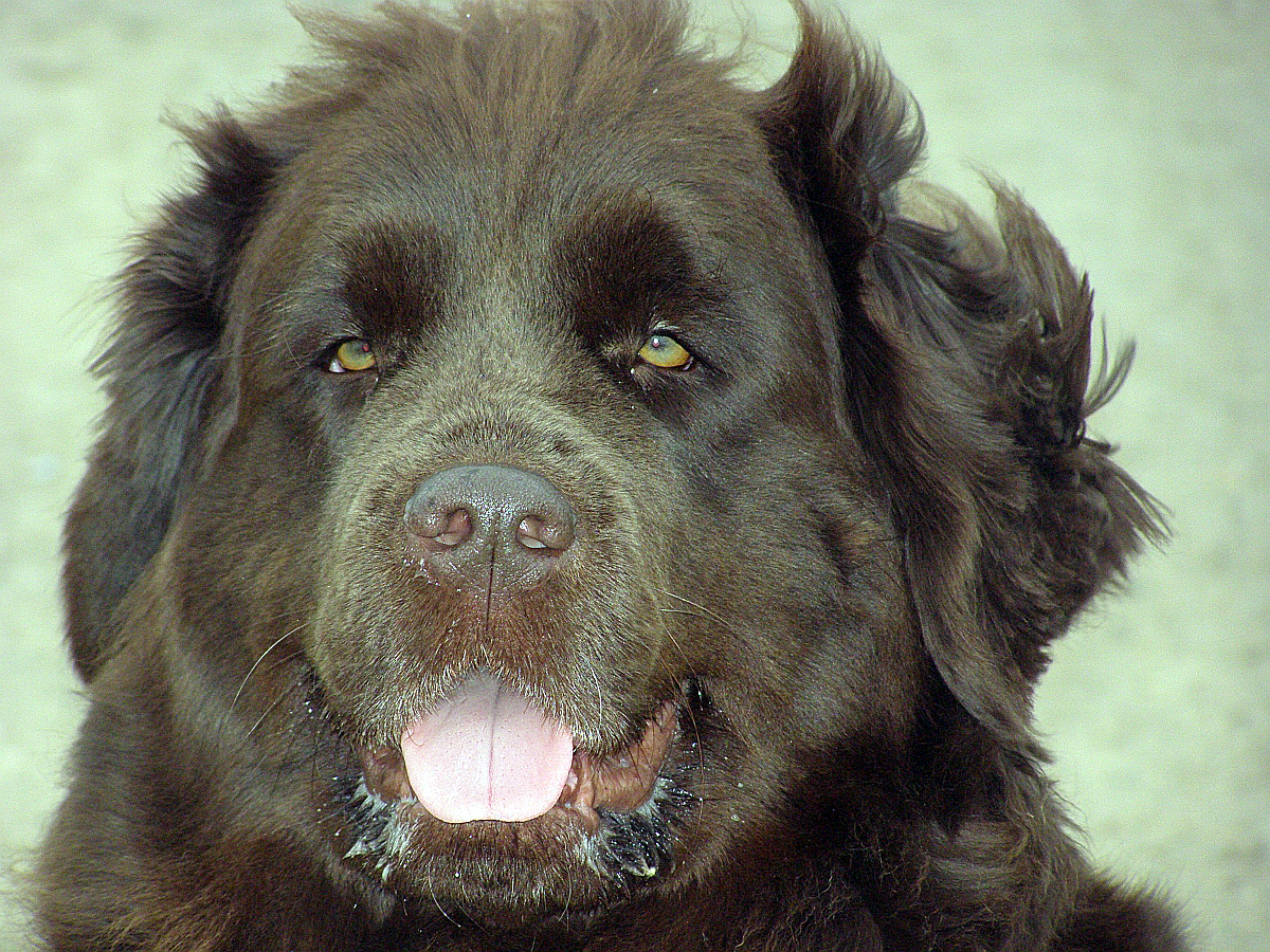 Willkommen Frühjahrsmüdigkeit