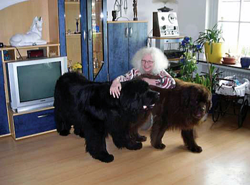 Hallo, liebe Neufi-Freunde!