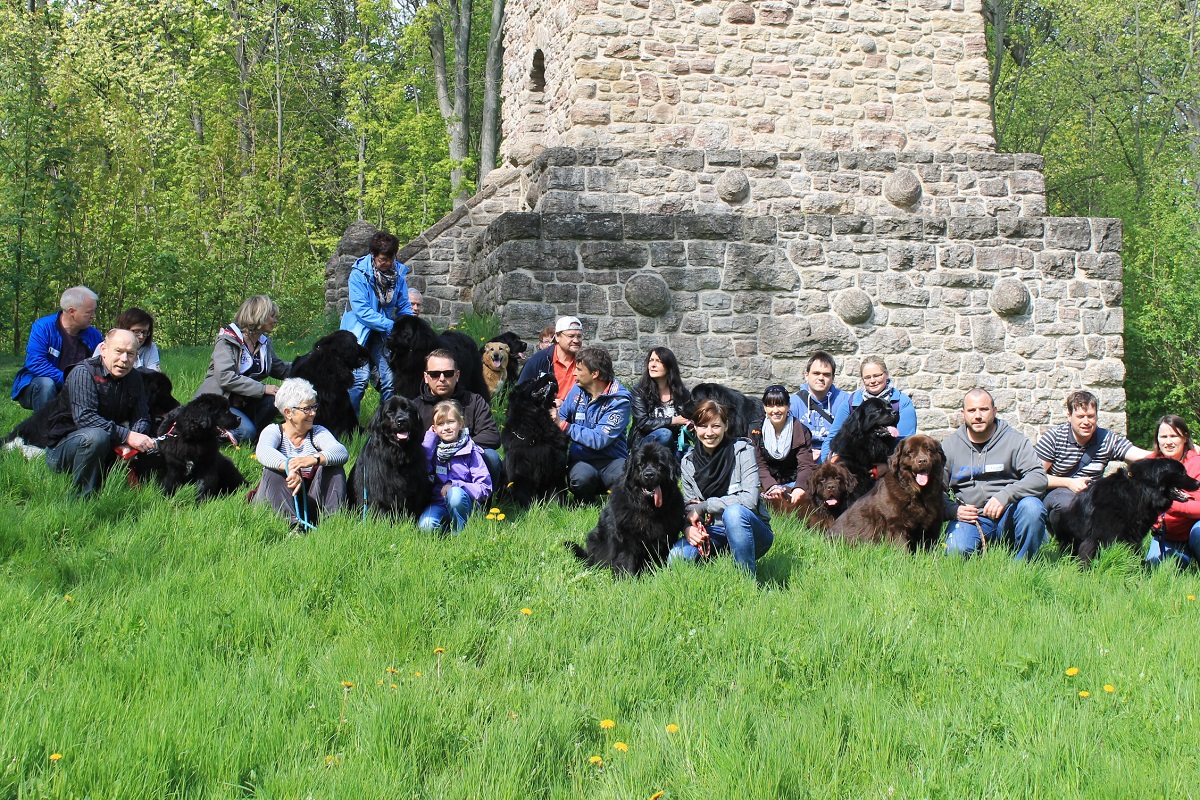 Neufundländer in Not e.V. sagt HERZLICHEN DANK