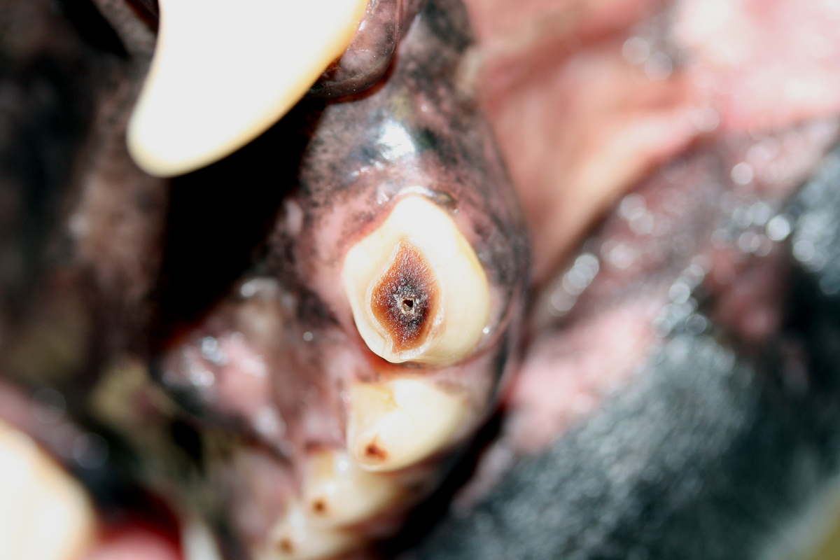 + + + + +  Spendenaufruf + + + + + +Spendenaufruf+ + + + + +Spendenaufruf+ + + + +