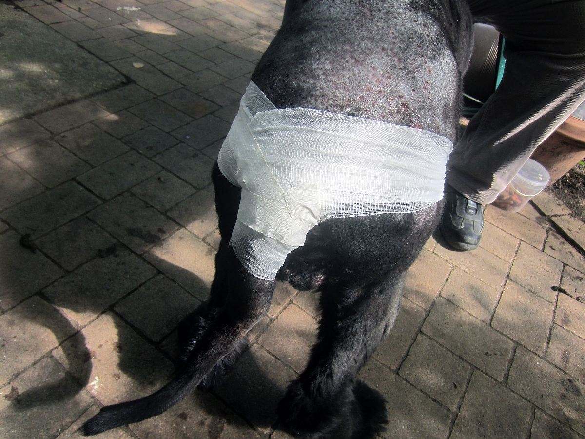 Neue Info´s von Smilla,