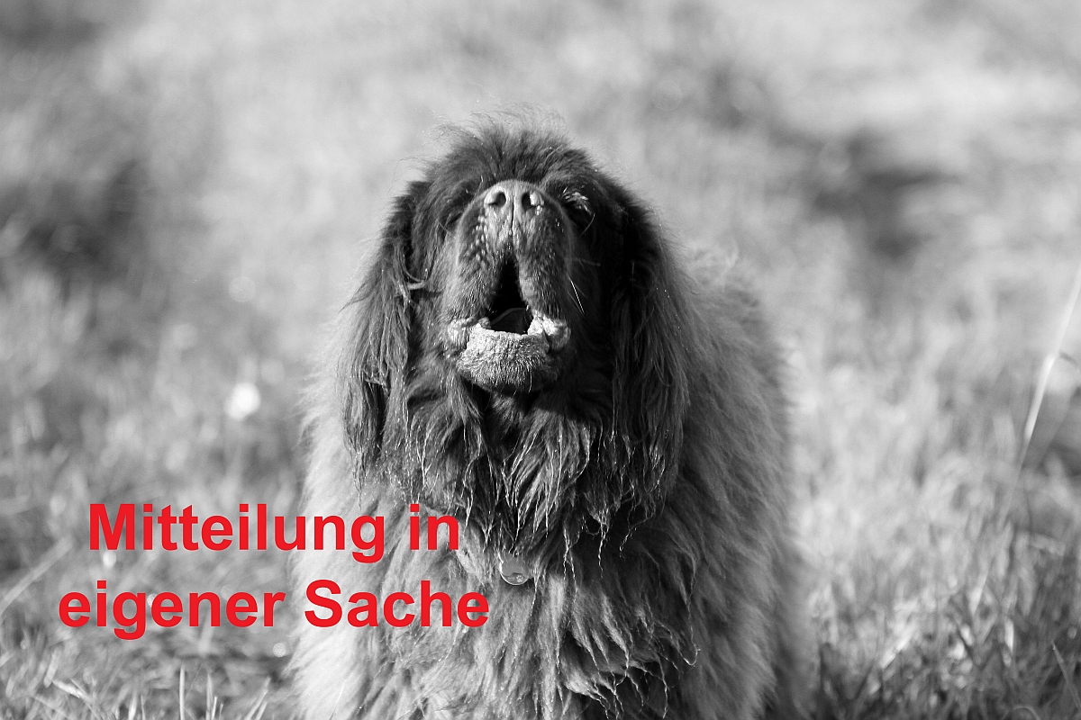 Mitteilung in eigener Sache  !!