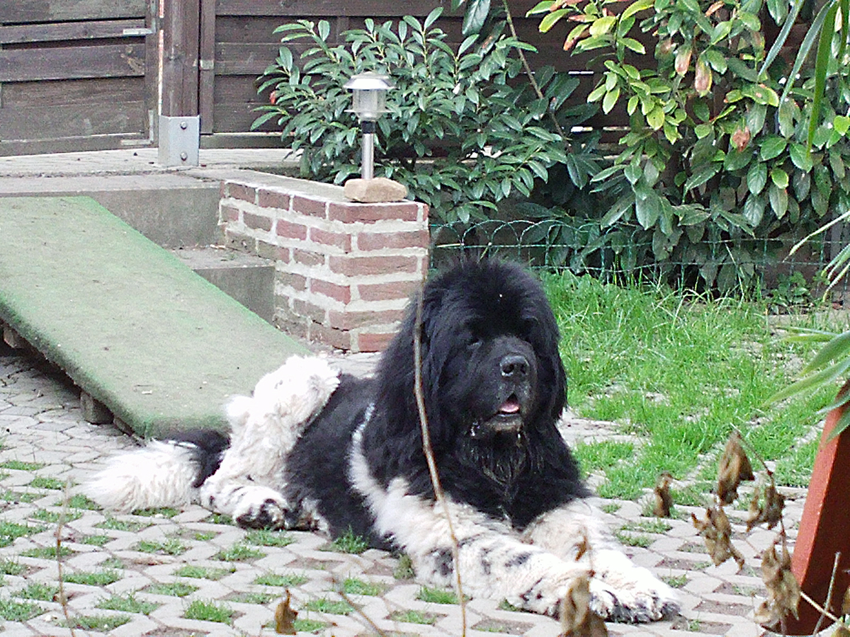 Hallo und Willkommen auf unserer Pflegestelle.