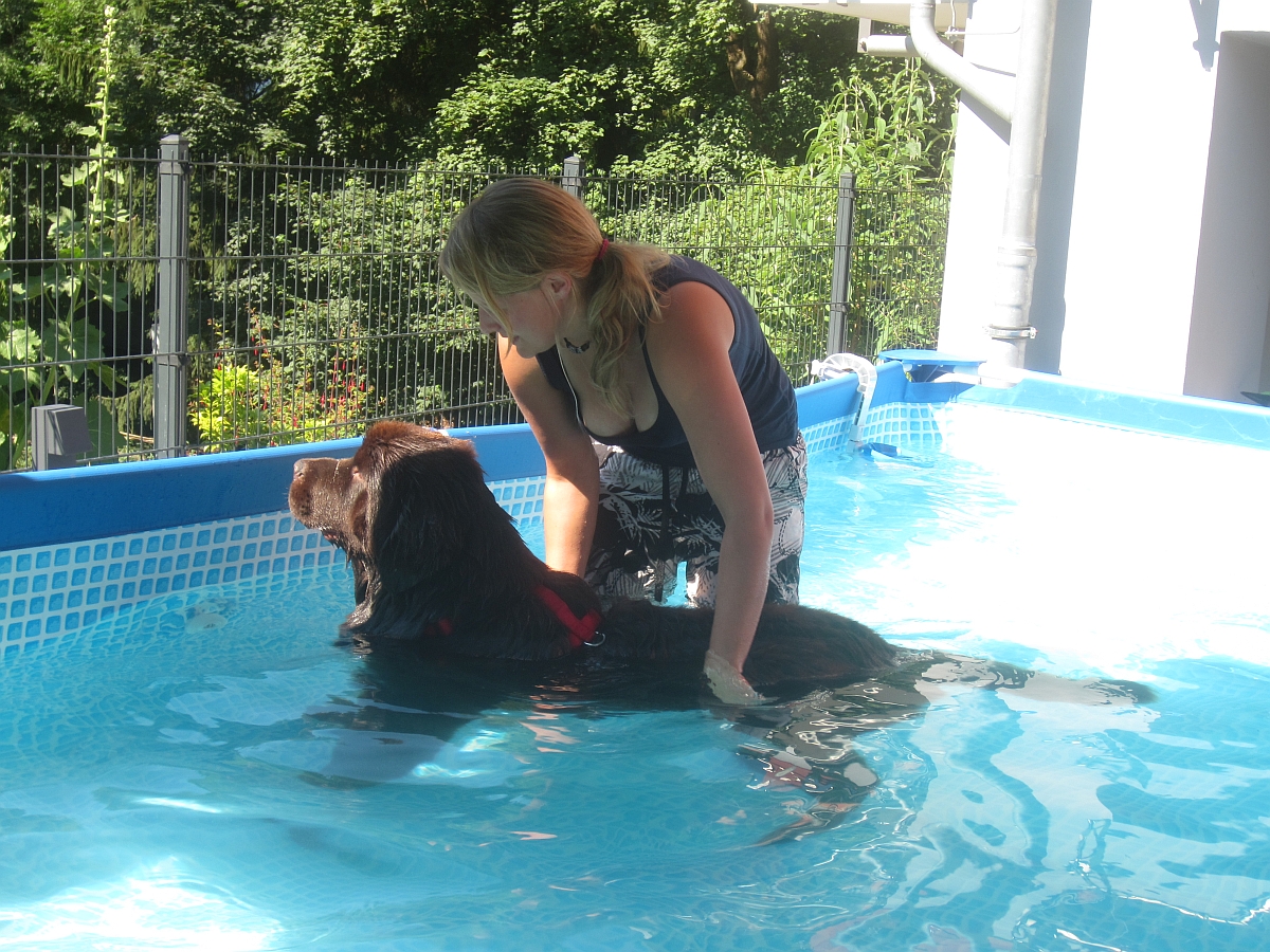 Ein ganz großes Dankeschön