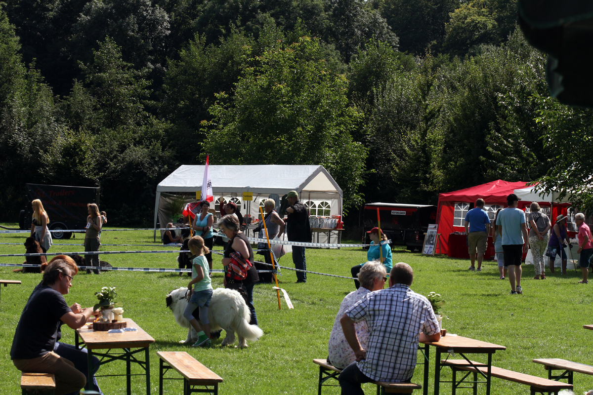 Sommerfest 2015 und 10-jähriges Jubiläum