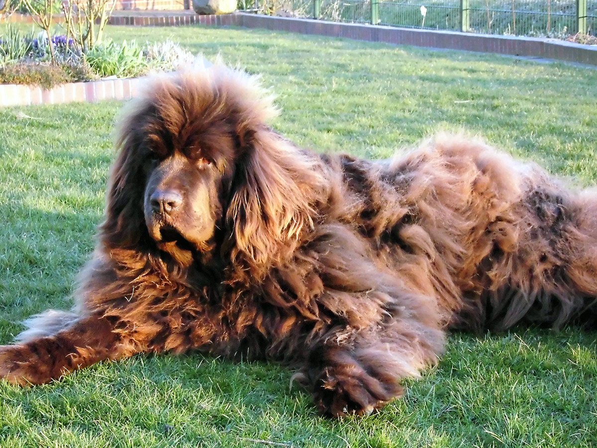 Hallo, ihr lieben Neufi-Leute!