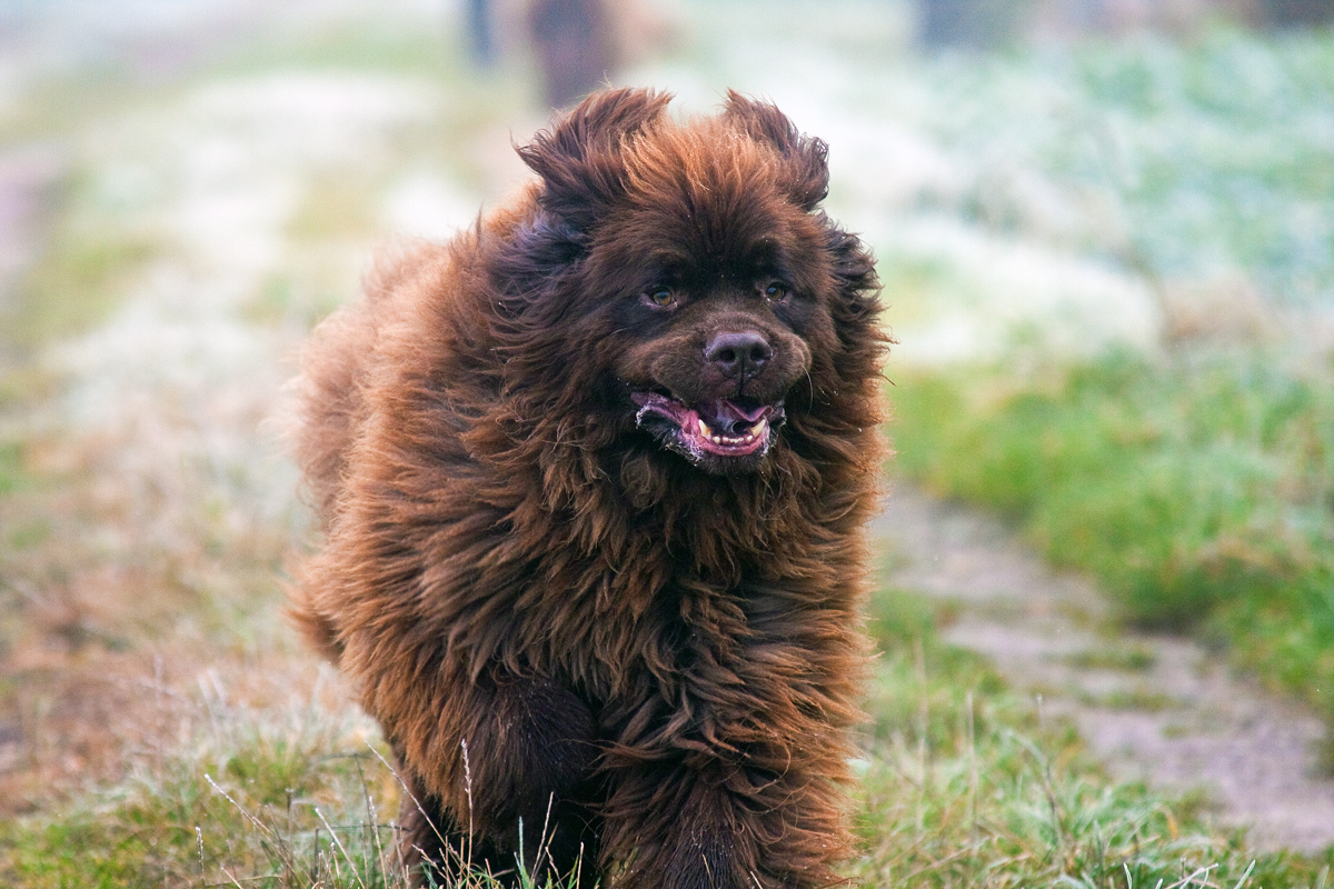 Niemand von uns Menschen hat das Recht…………..