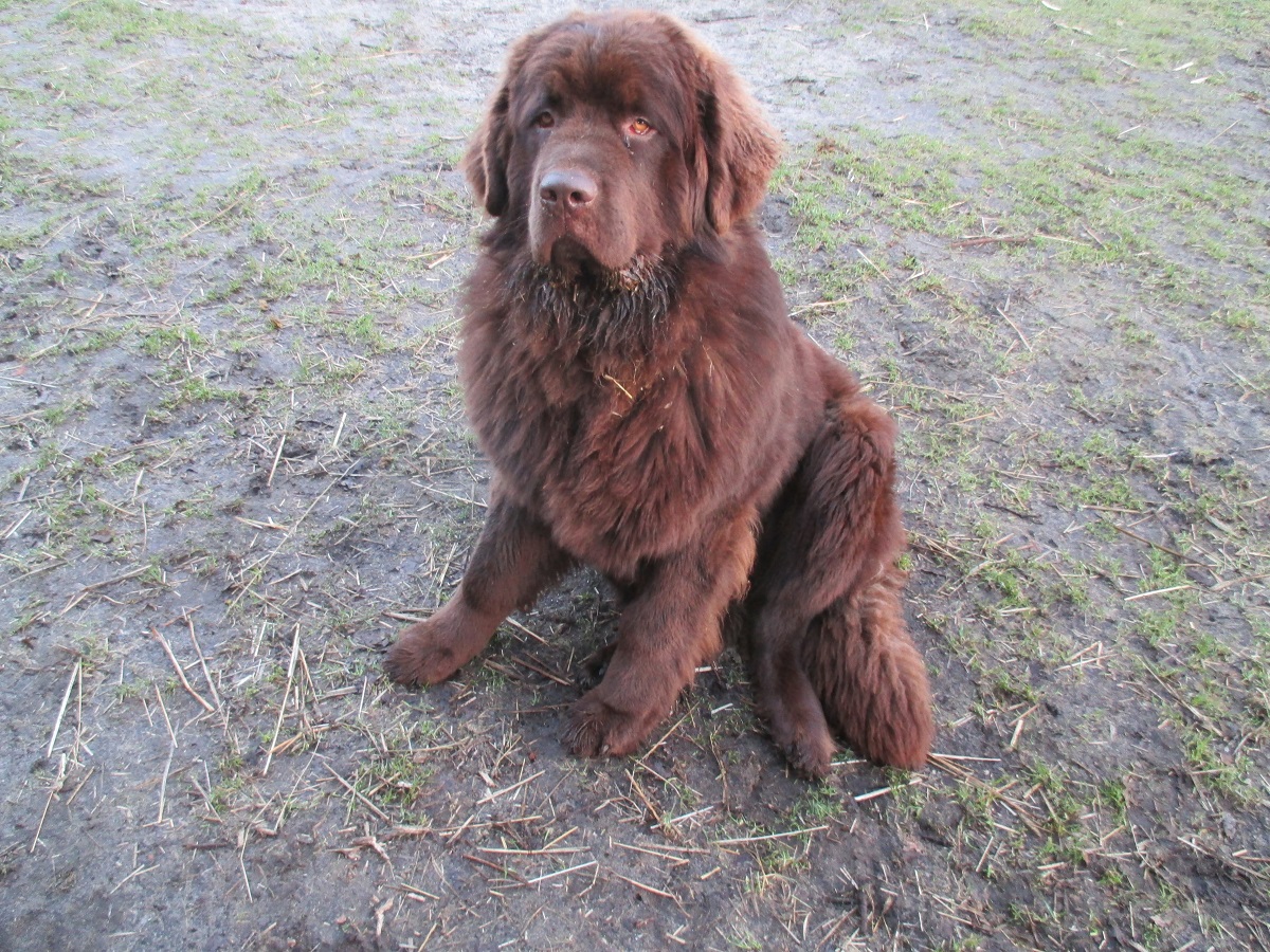 Neues von Etzels Bärenhöhle