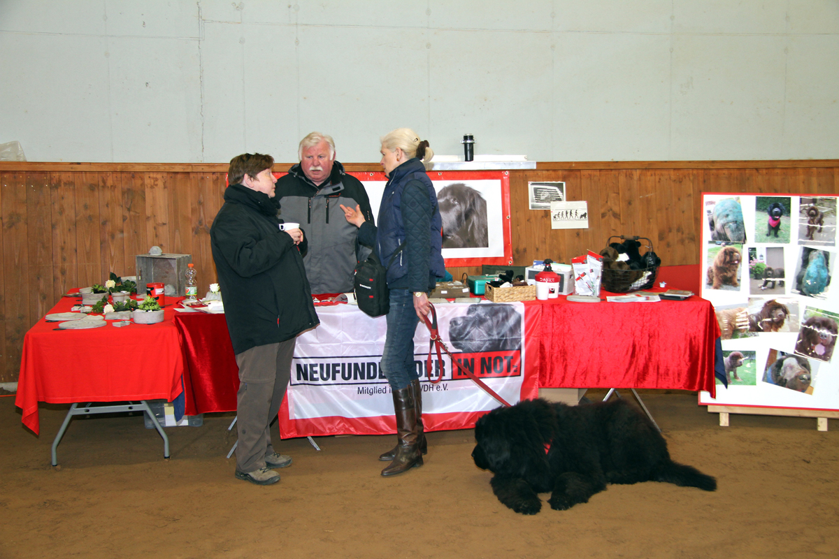 Neufundländer in Not e.V. auf Tour