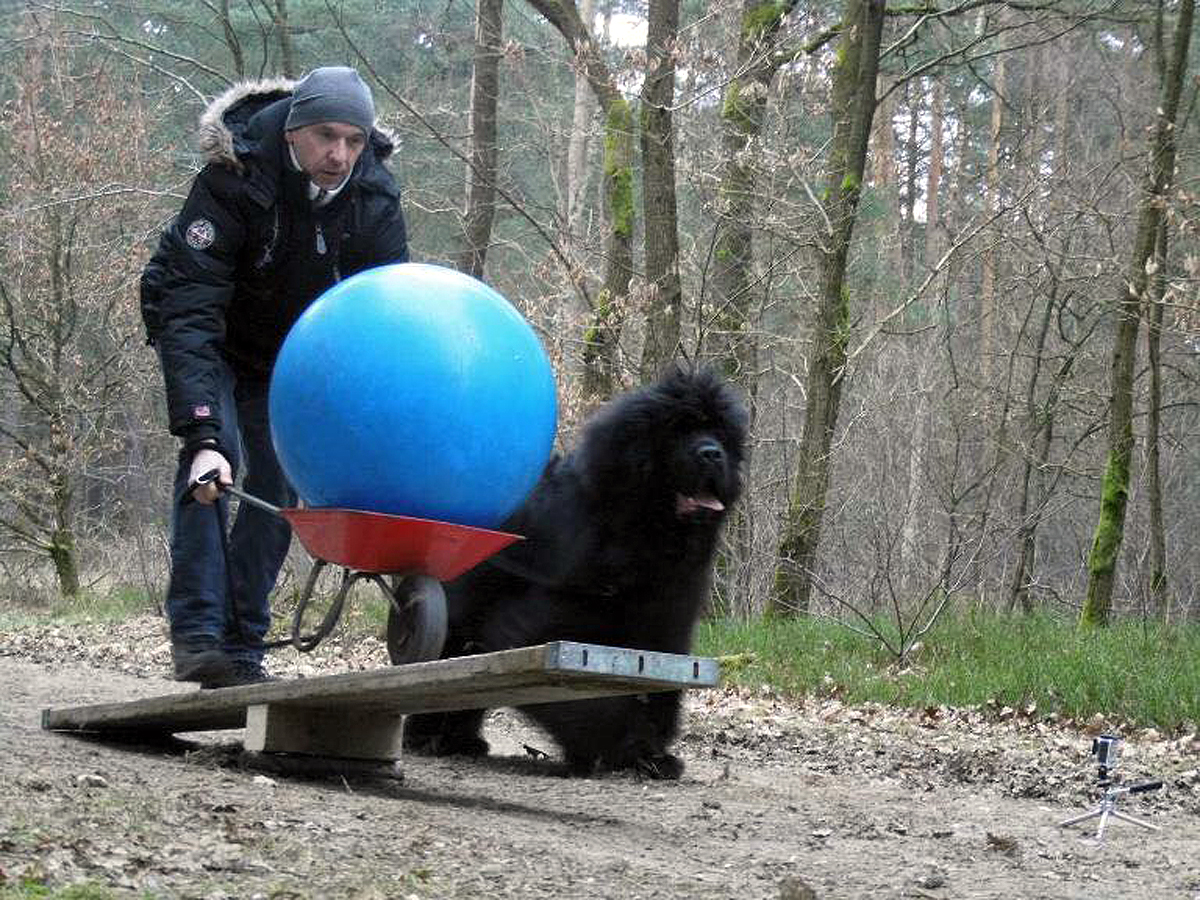6. Nordheider Bärenrallye