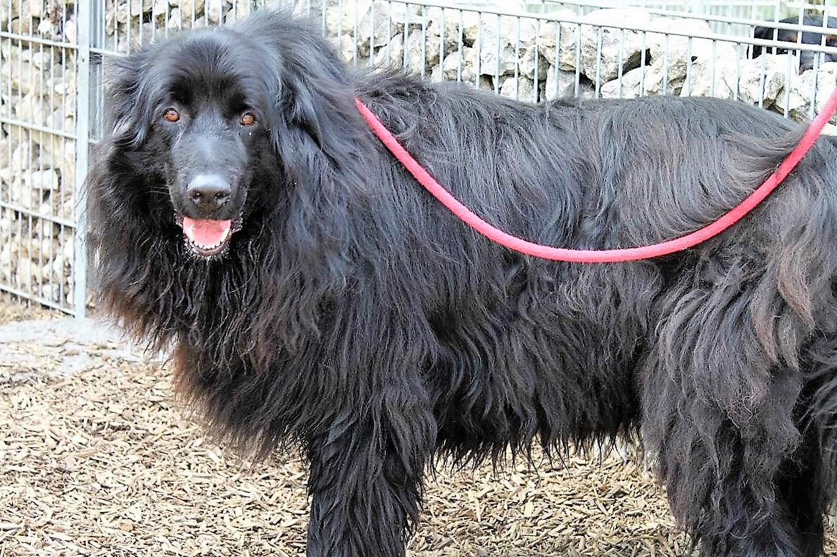 Gastvermittlung für Paul [vermittelt]