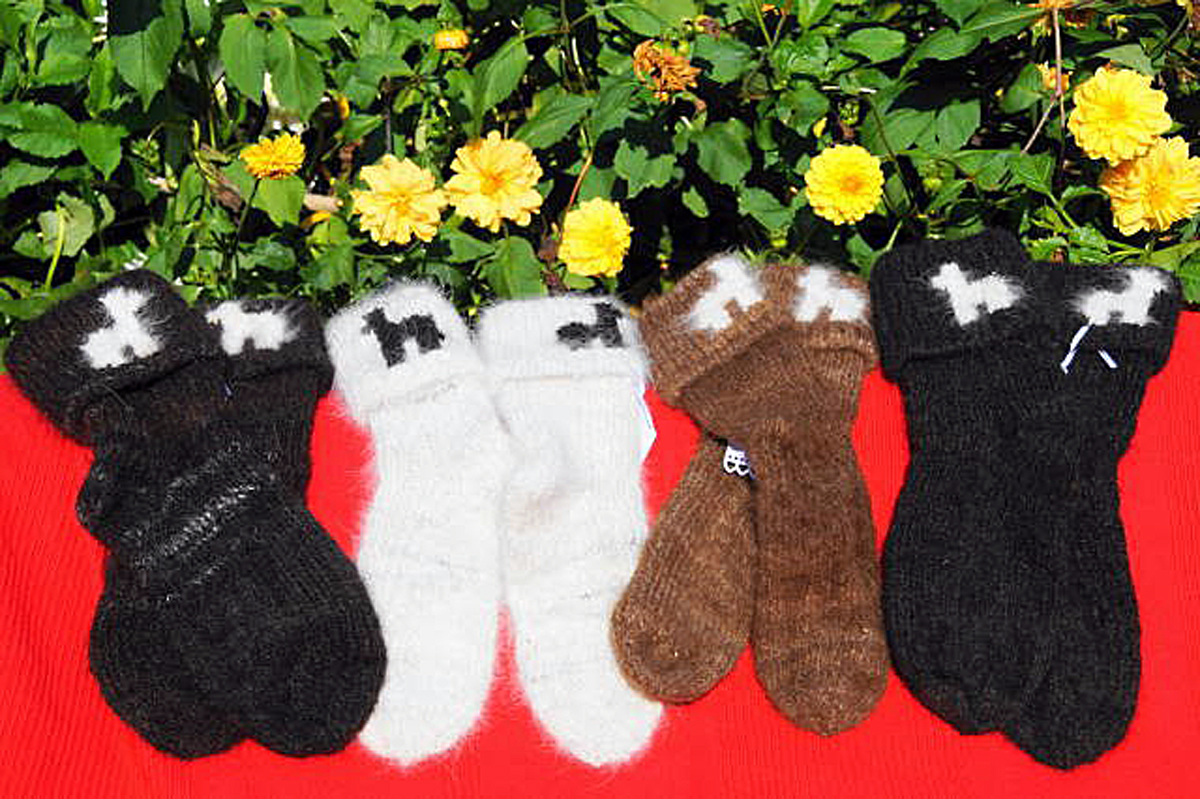 Warme Socken vom Neufundländer