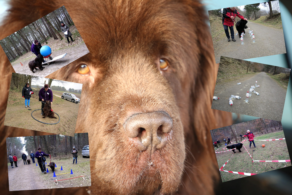 Es ist wieder Rallye-Zeit