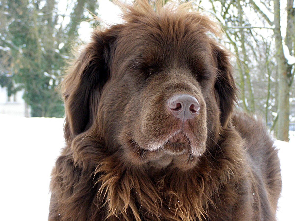 Es wird vielen Leuten lächerlich……………………