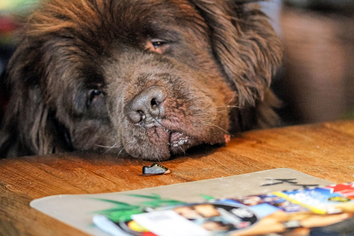 Jeder, der nicht weiß wie Seife………….