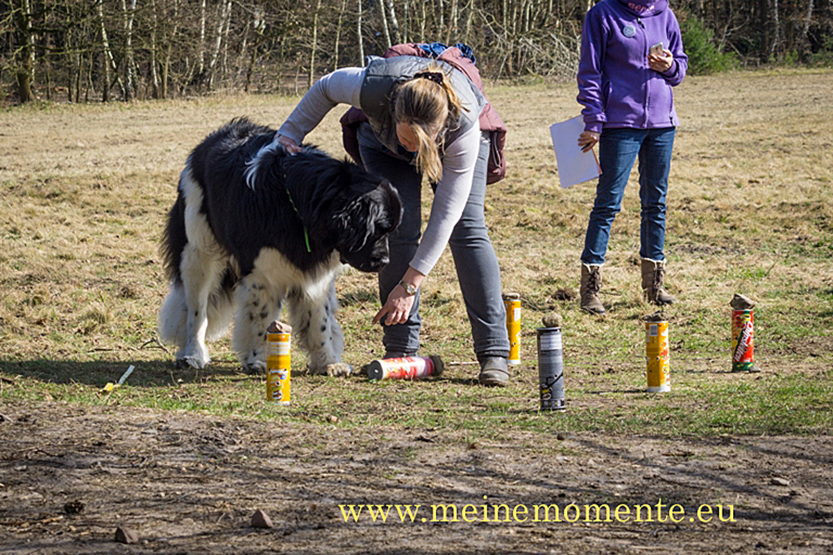 Rückblick auf die 7. Nordheider Bären-Rallye am 26. März 2017