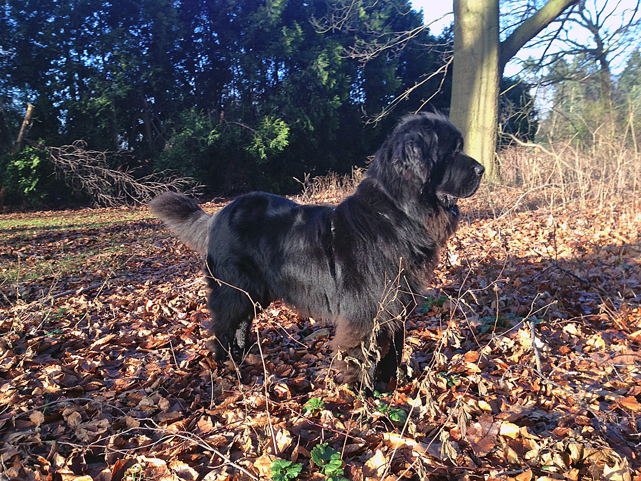 Sissi stand lange Zeit nicht auf…………………..