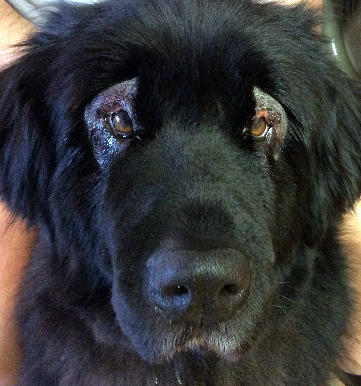 Sissi hat es gut überstanden