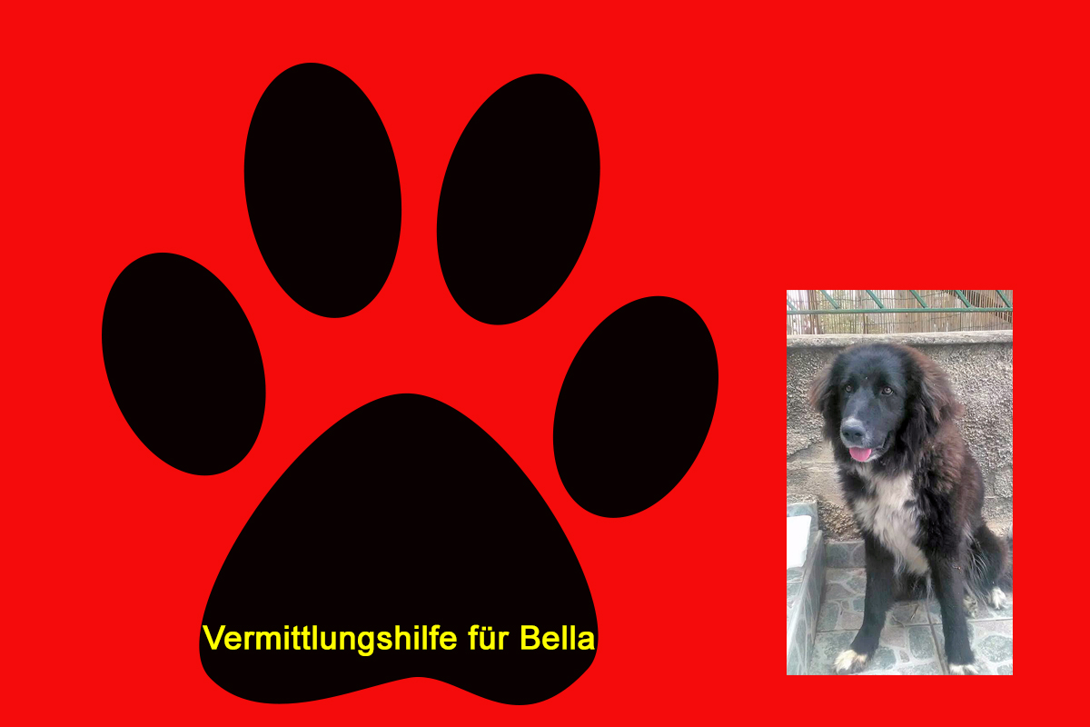 Wir halfen Bella