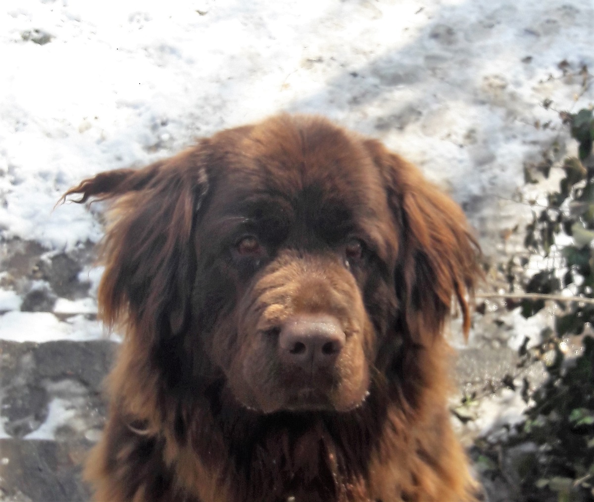 Emma hat ein neues Zuhause.