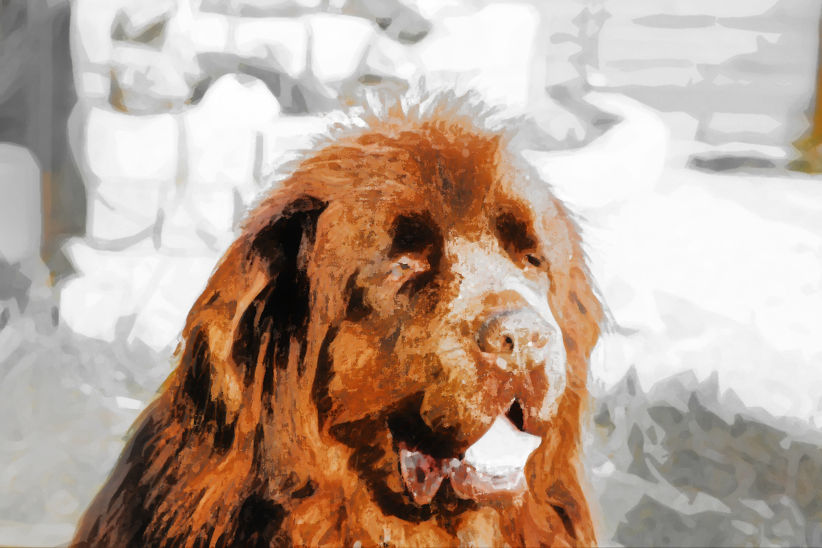 Wir brauchen Ihre Hilfe