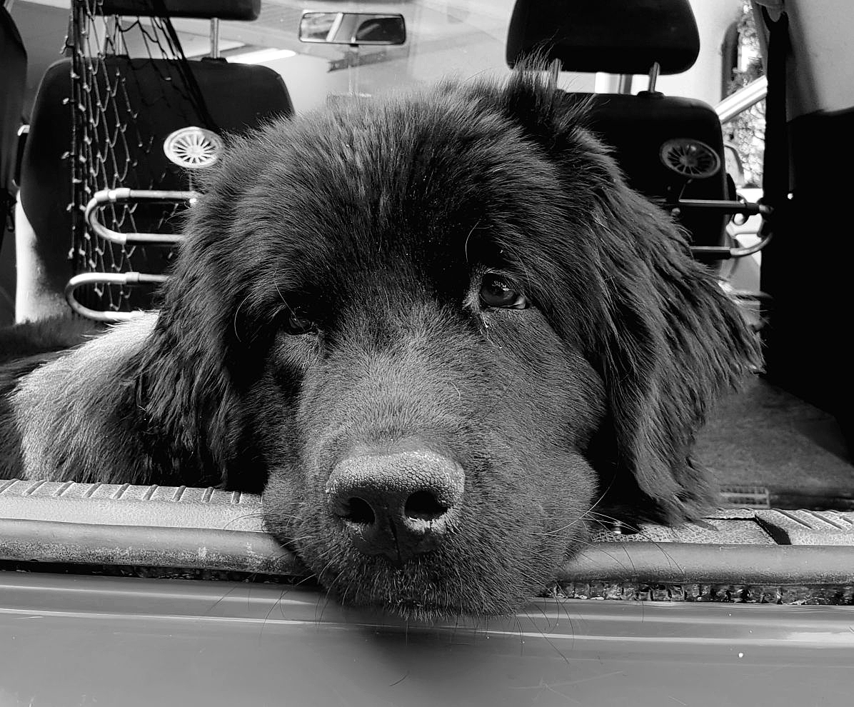 Thea am 22. Juli 2018